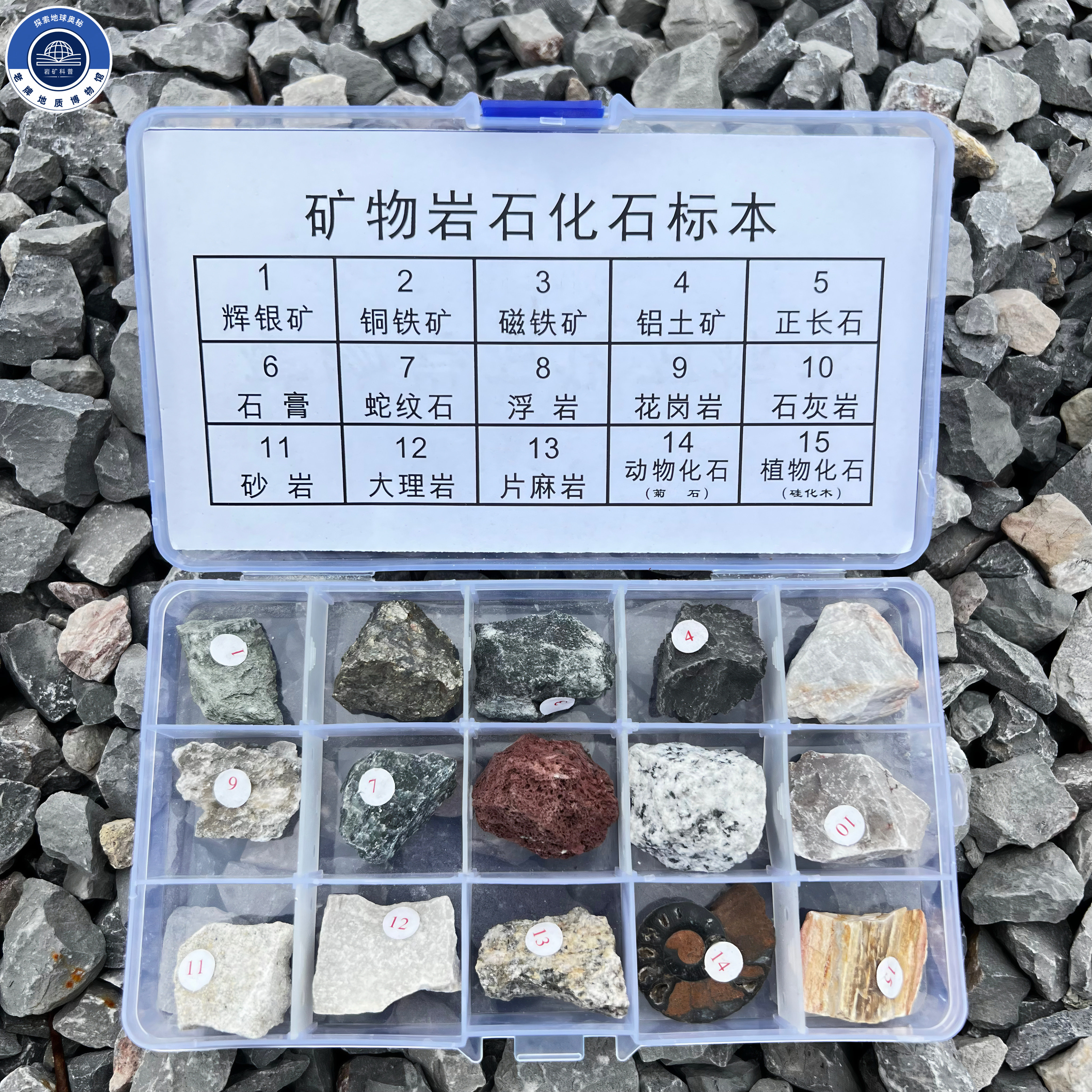 15种岩石矿物化石天然原石头标本图片