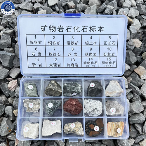 15种岩石矿物化石天然原石头标本