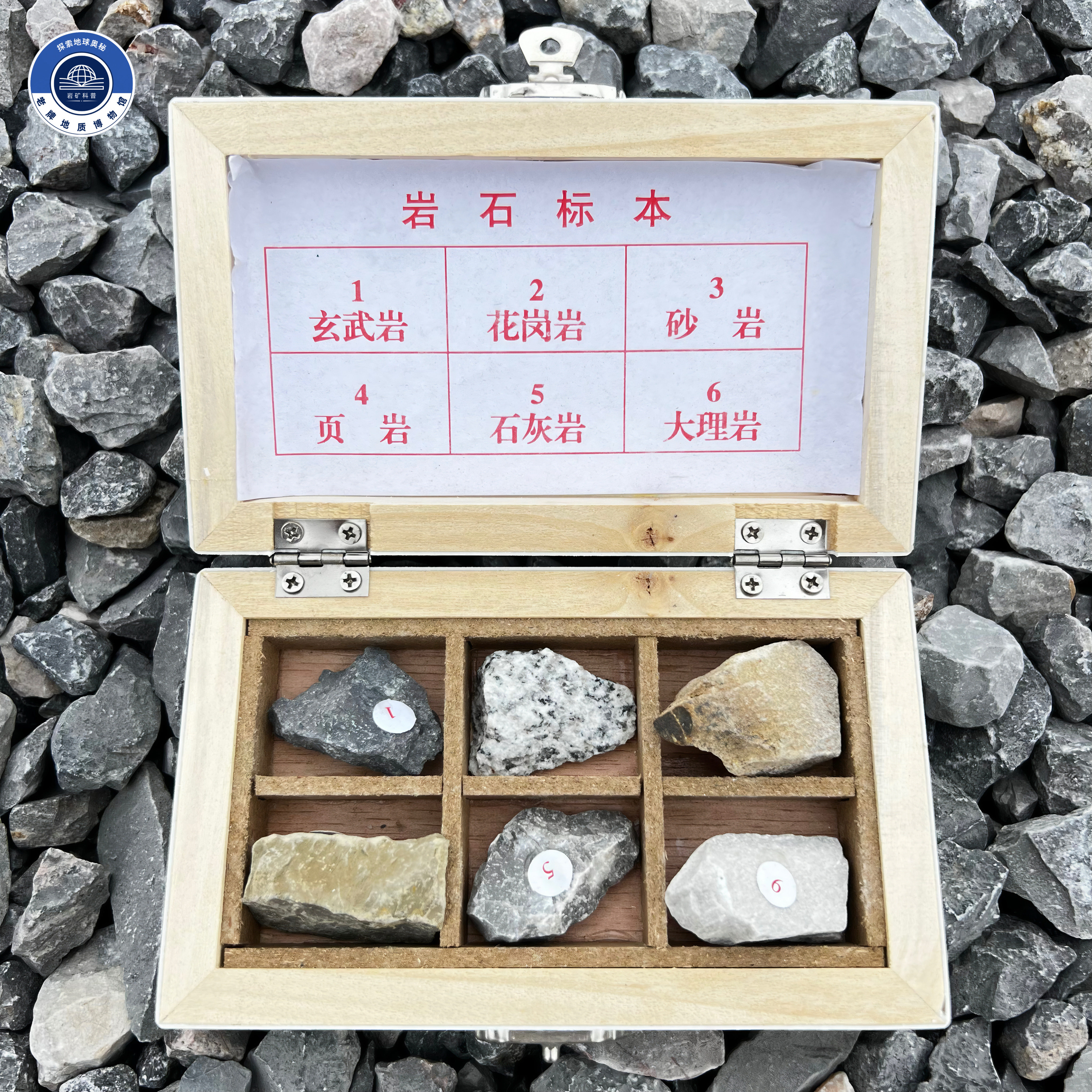 6种三大类岩石标本小学四年级图片