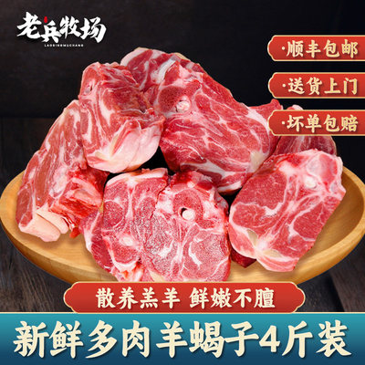 宁夏盐池滩羊多肉羊蝎子骨小肉多