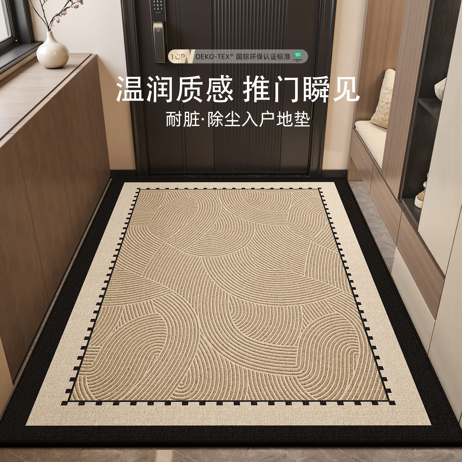 入户门垫进门地垫高级感2026新款室内门口脚垫家用耐脏防滑地毯垫