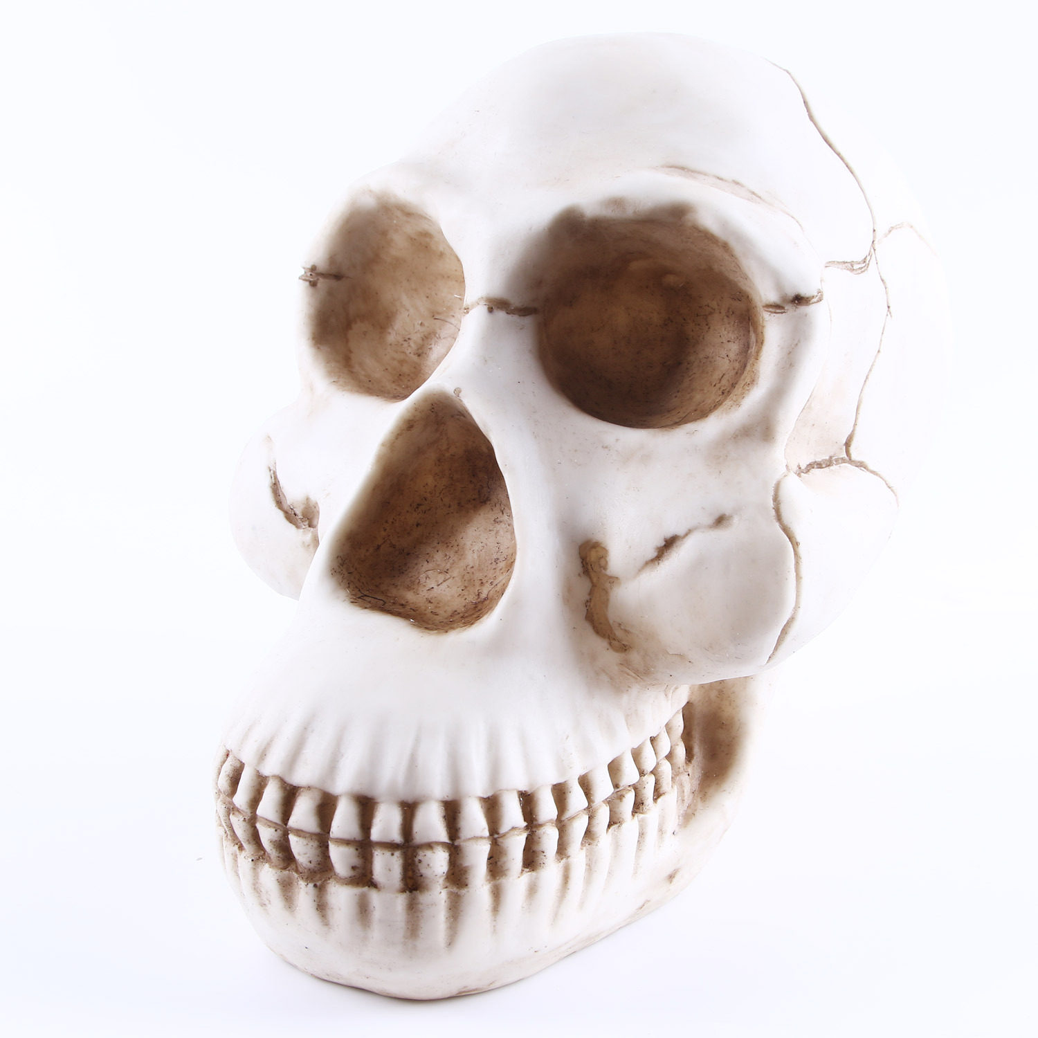 树脂摆件工艺品骷颅头家居饰品骷髅头大猩猩头骨动物园骨架标本