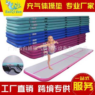 跆拳道气空翻训练瑜伽子拉丝气白鳍豚气模充气体操