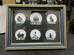 UAE 阿联酋特警挑战赛纪念章 魔术贴 周边 战术科目