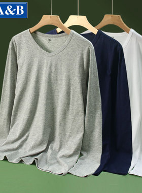 AB内衣春秋男士精致纯棉毛衫宽松全棉薄睡衣家居服V领打底衫P015