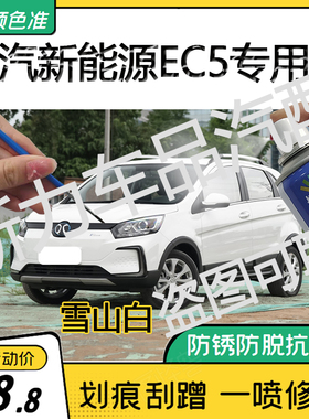 适用北汽新能源EC5香榭丽舍金色自喷漆原厂防锈雪山白色亮光车漆