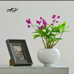 陶瓷花盆出口北欧现代简约创意个性室内设计蝴蝶兰文心兰桌面花瓶