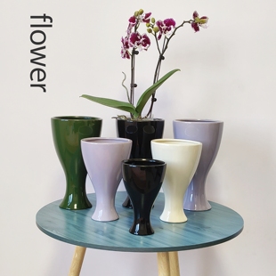 法式高级感陶瓷花瓶摆件客厅插花蝴蝶兰文心兰石斛兰简约个性花盆