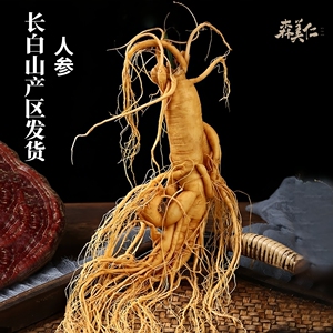 森美仁长白山人参保鲜参煲汤泡酒