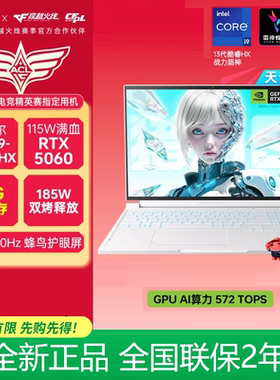 THUNDEROBOT 猎刃 16S雷神16寸学生游戏电脑i9-13900HX5060天青色