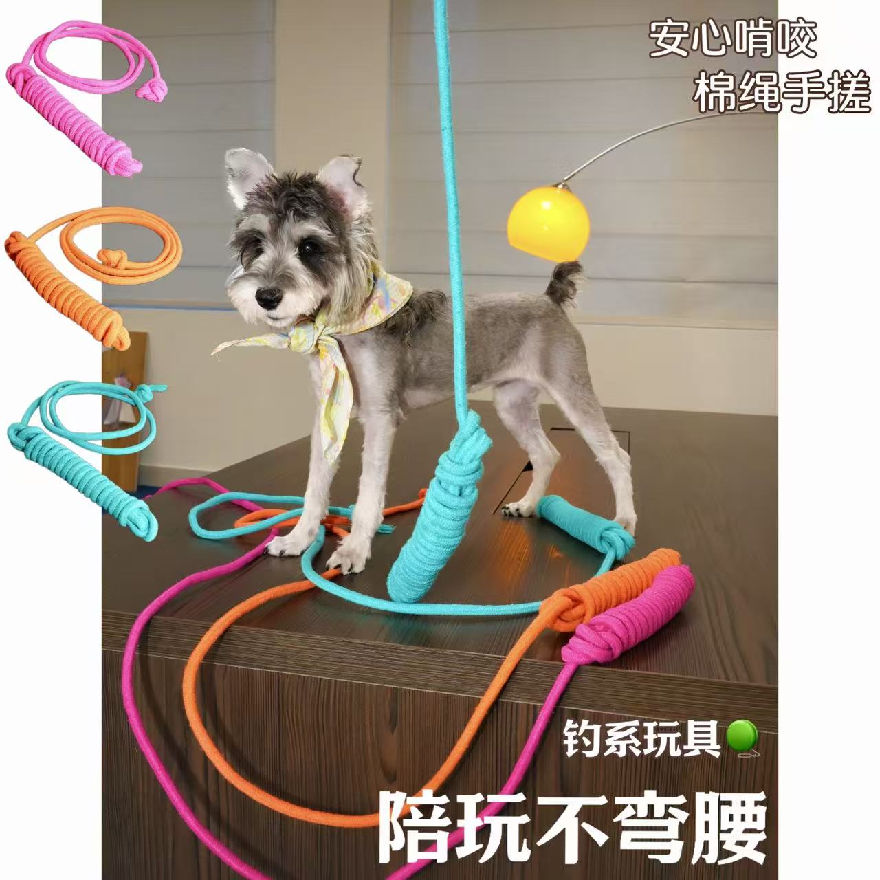 宠物玩具人宠互动不累不弯腰