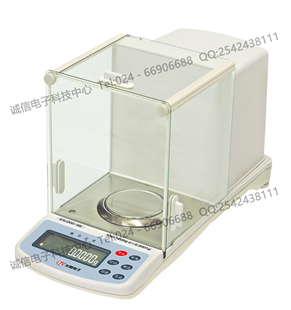 ESJ110 沈阳龙腾电子天平ESJ120 4B电子天平 4ESJ200 ESJ200