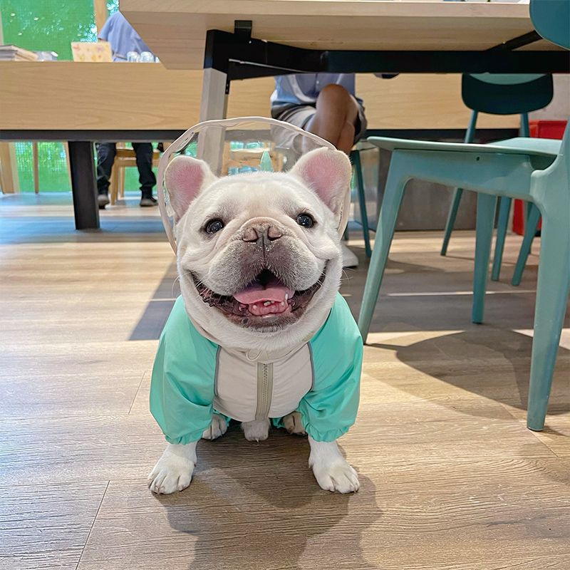 法斗柴犬雨衣衣服外出防水衣服宠物四脚雨衣宠物狗巴哥防雨衣雨披