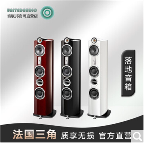 other其他 1Triangle 法国三角落地音箱DELTA德尔塔hifi音响发烧