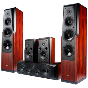 Winner/天逸 TD-8Winner/天逸 童笛八号 TD-8家庭影院音响套装高