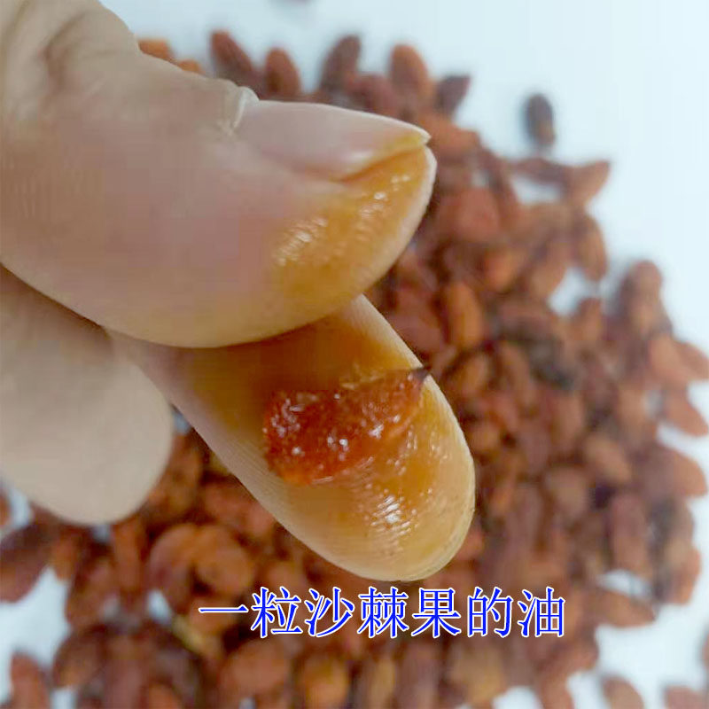 买二送一 新疆沙棘干果精选阿勒泰大果沙棘果干无沙无添加无提炼