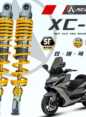 阿尔法XCS后减震改装光阳赛艇ST250 X350佛沙巡弋九妹300 极核AE8