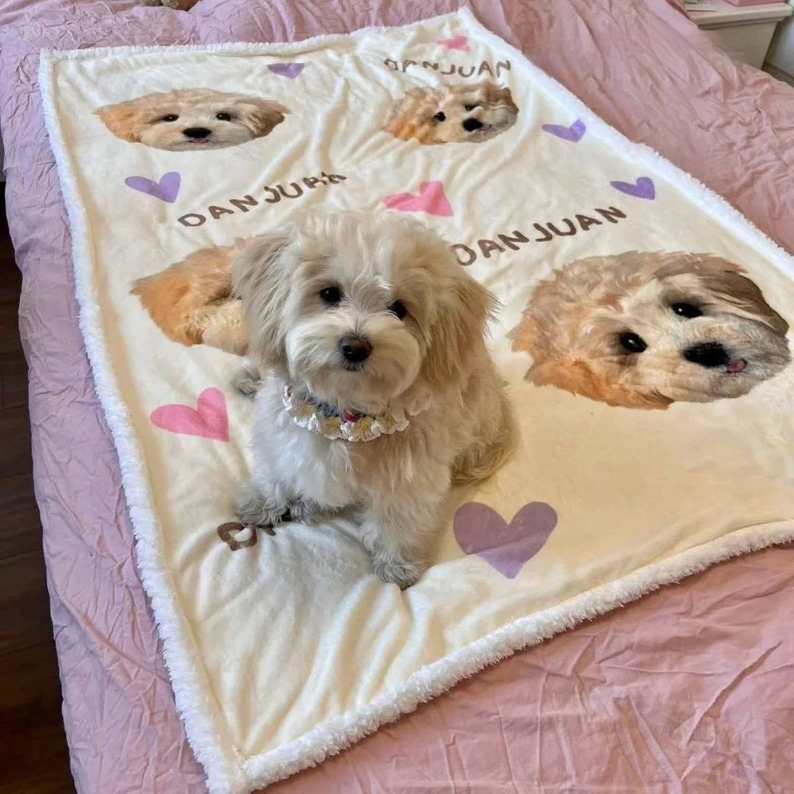 宠物照片定制可爱狗狗羊羔绒毛毯