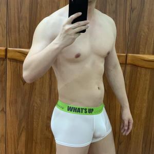 两条装GTOPXMAN男士冰丝薄款纯色透气U凸舒适简约内裤夏季平角裤