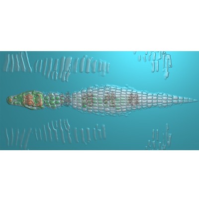 鳄鱼皮 纹理精雕图 灰度图皮纹 鳄鱼 底纹雕刻图JDP