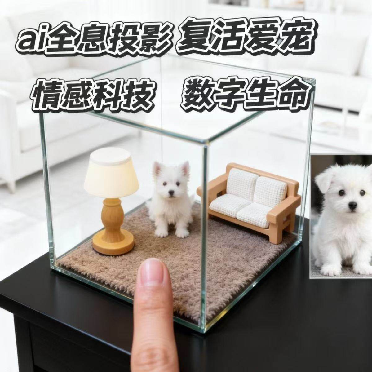 宠物全息投影电子3D立体数字屋影像盒纪念品爱宠复活情感科技互动,家居饰品,桌面摆件,淘宝优惠券,粉丝福利购,淘宝优惠卷