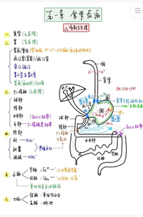 消化呼吸循环泌尿血液妇产科儿科运动神经精神传染病风湿系统笔记