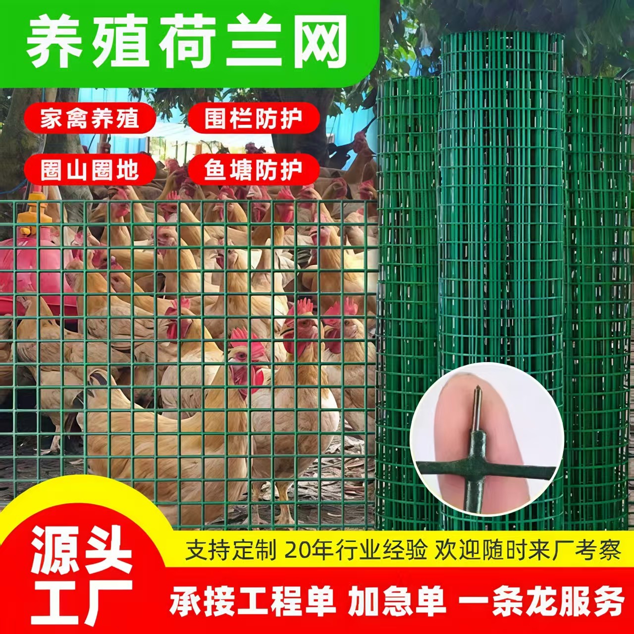 养殖铁丝网荷兰网养鸡圈地网果园鱼塘栅栏家用圈玉米网隔离网围网