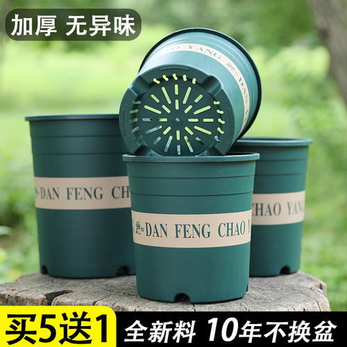 月季长寿花专用花盆客厅