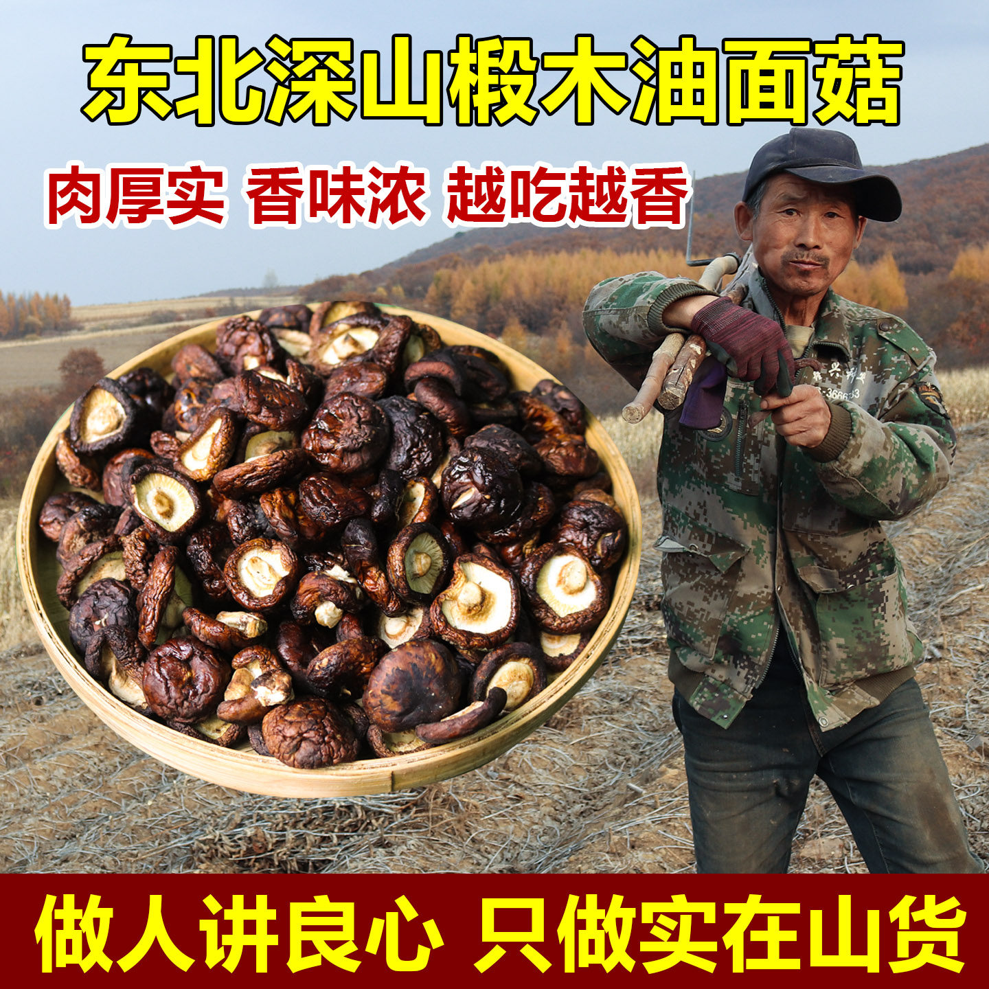 长白山椴木油面菇香菇干货半野生小黑面蘑菇肉厚无根煲汤香菇500g