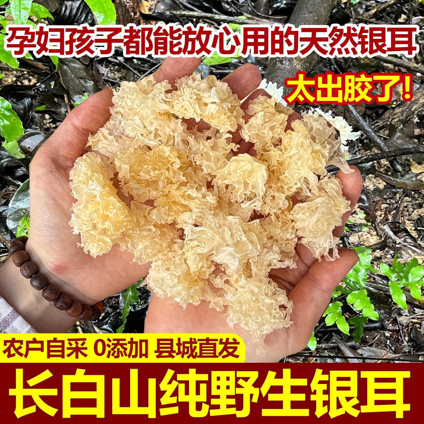 正宗东北纯野生银耳干货长白山特级无硫小朵银耳出胶雪耳羹白木耳