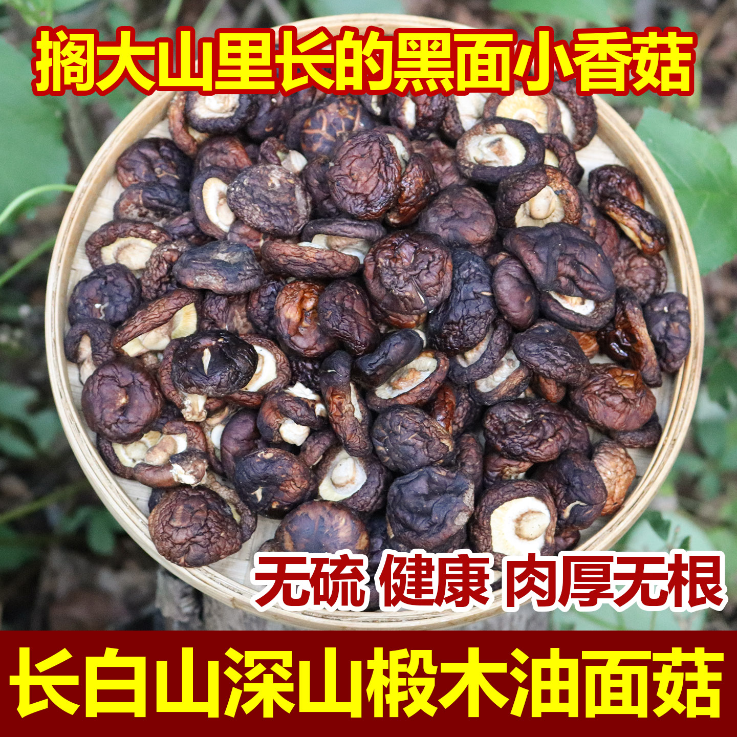 长白山椴木油面菇香菇干货半野生小黑面蘑菇肉厚无根煲汤香菇500g