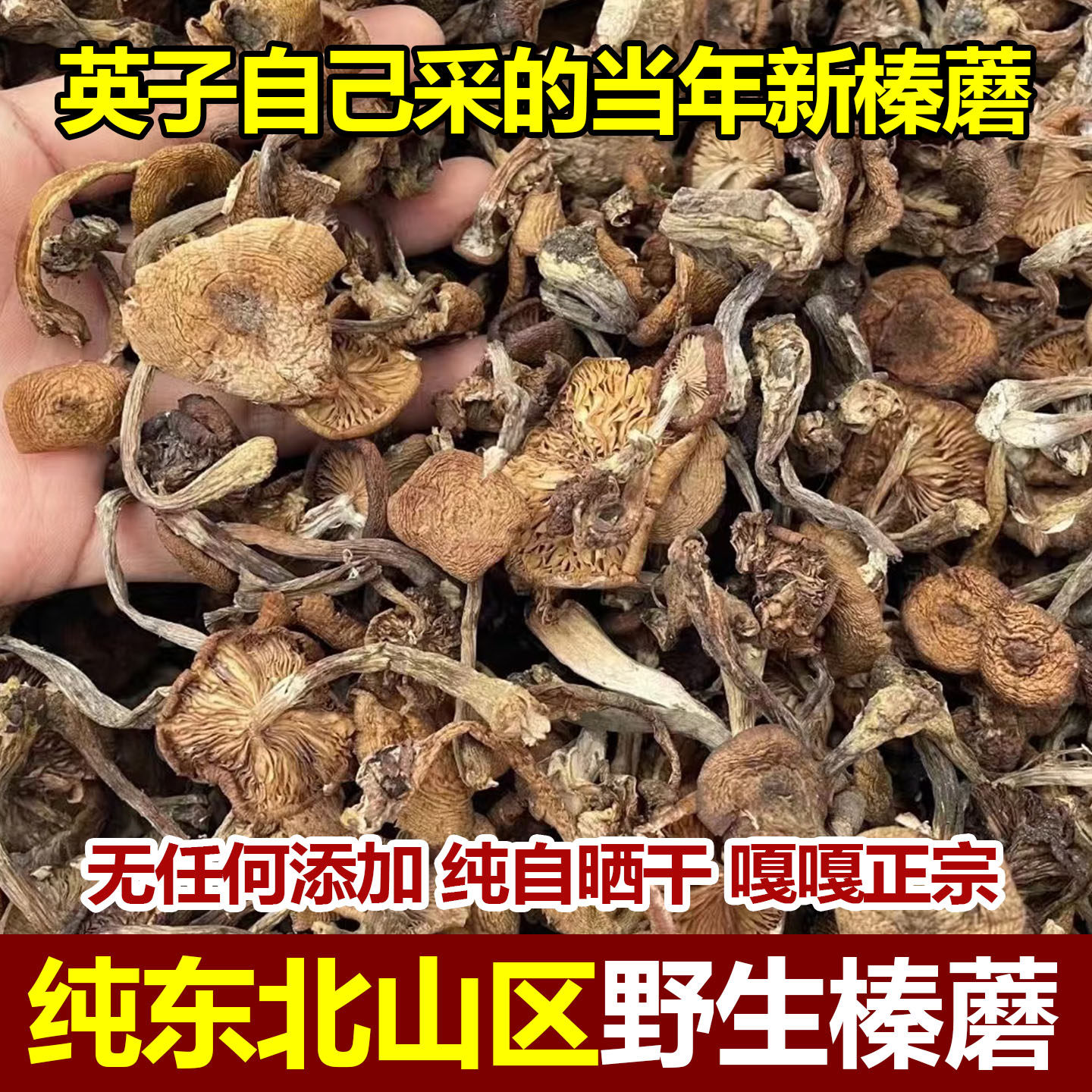 东北特产野生榛蘑干货无根农家晾晒长白山土特产小鸡炖蘑菇新货