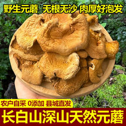 纯东北野生元蘑长白山冻蘑菇干货新货肉厚无根菌菇小鸡炖蘑菇