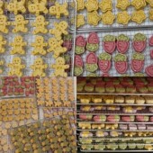 仓鼠磨牙饼仓鼠零食花枝鼠磨牙饼金丝熊磨牙饼小宠手工磨牙饼零食