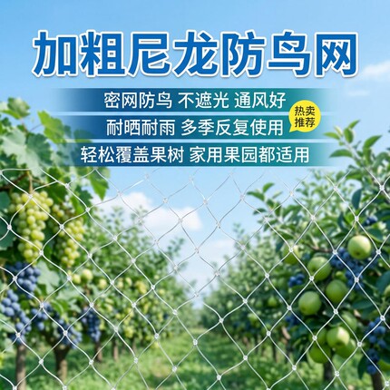 果树尼龙防鸟网大棚樱桃抗老化加粗防鸟围网农田鱼塘养殖防护网