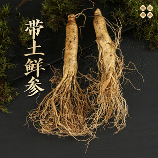 黑龙江省汤原县宝山大哥鲜人参125克/颗