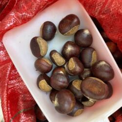 不打农药大别山新鲜野生小栗子金寨板栗仁生吃脆甜毛栗2025年新货