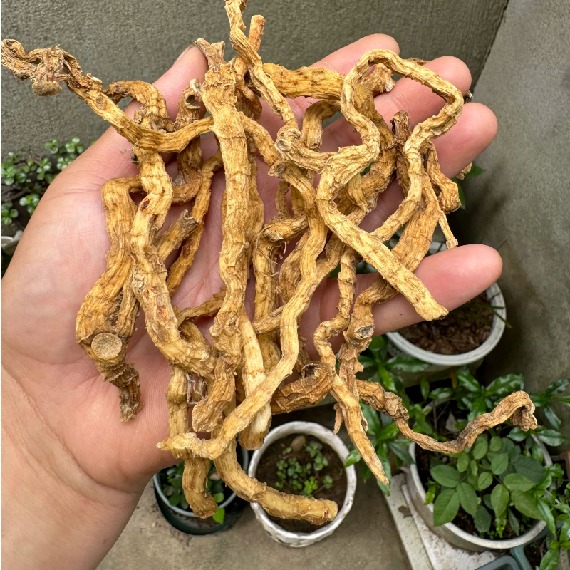 大别山野生玉竹条金寨玉竹干货农家自然晒干的250g装