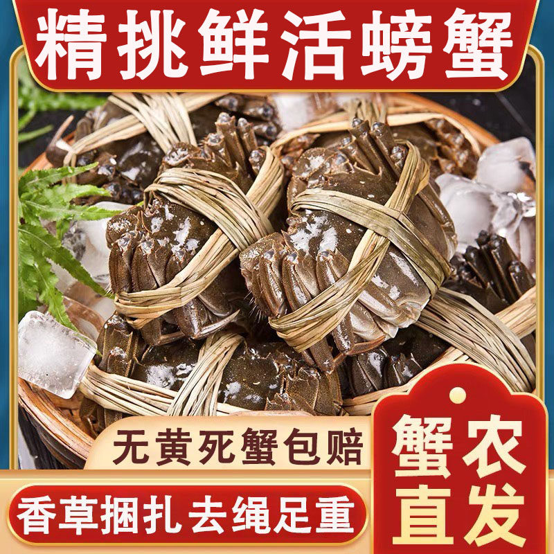 洪泽湖大闸蟹鲜活螃蟹去绳净重