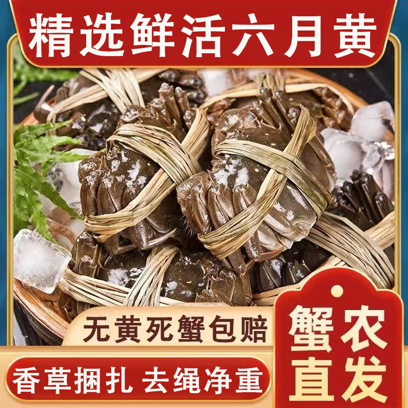 洪泽湖大闸蟹鲜活螃蟹足斤足两