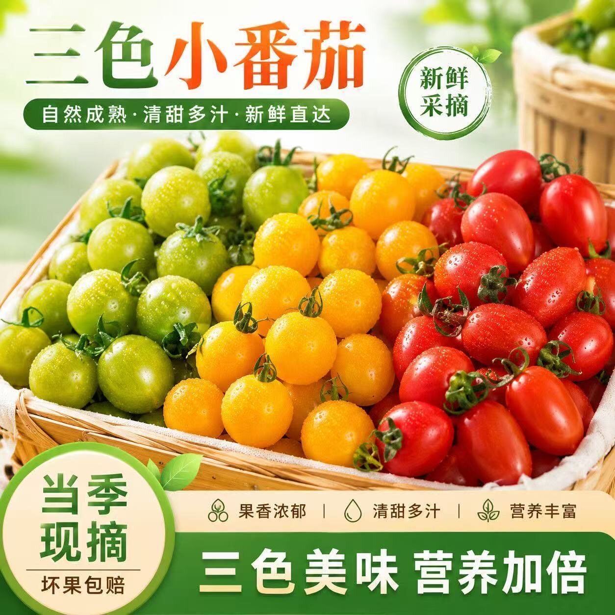 顺丰寿光三色千禧小番茄新鲜红黄绿彩色圣女果迷恋青甜靓贝小柿子