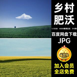 315张田野土地肥沃稻高清麦田JPG农场乡村风光图片素材耕田丰收