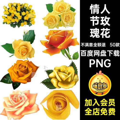 情人节玫瑰花PNG图片素材ps花瓣花束免抠卡通手绘花朵50款