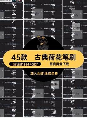 45款国风荷花笔刷procreate国画荷叶ps水墨荷花笔刷传统植物花卉