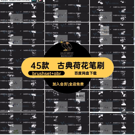 45款国风荷花笔刷procreate国画荷叶ps水墨荷花笔刷传统植物花卉