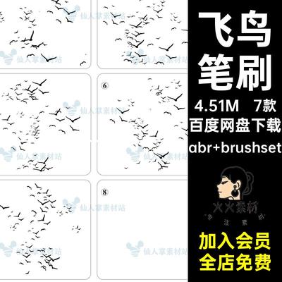飞鸟笔刷剪影ps小鸟鸟群7款iPad新中式点缀鸟群剪影点缀新中式