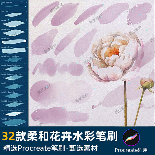 水墨花卉水彩笔刷淡植物柔和厚32款procreate手绘柔软晕染涂淡墨