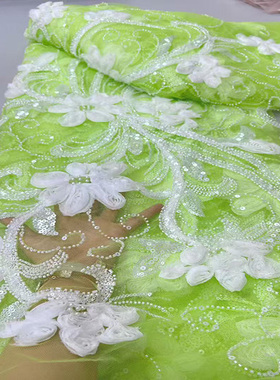 珠管亮片绣蕾丝刺绣女士服装布料new sequin velvet lace fabric