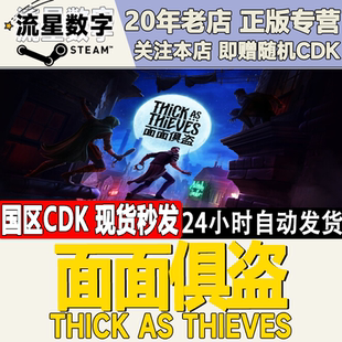 Steam正版国区KEY 面面俱盗 Thick As Thieves 激活码CDKEY现货