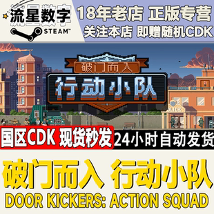 steam正版 国区KEY 破门而入:行动小队 激活码CDKEY现货秒发
